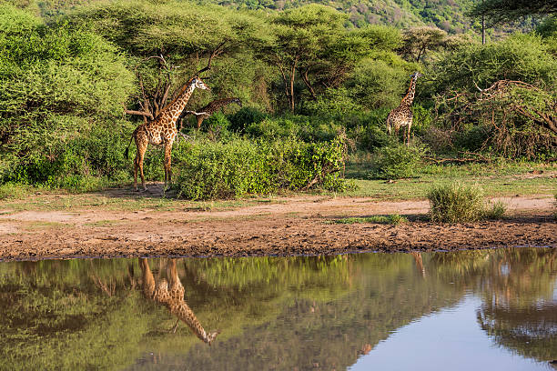 Serengeti National Park